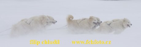 Tri studne zima 2009 - 0988.jpg